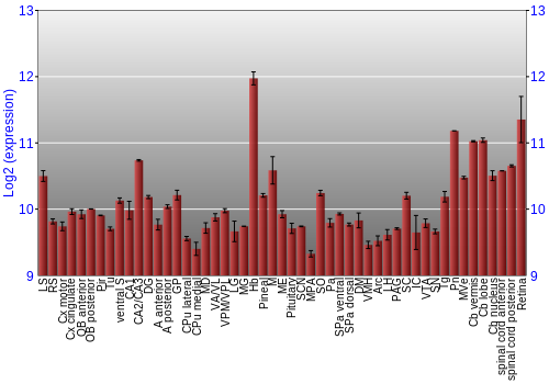 Expression graph