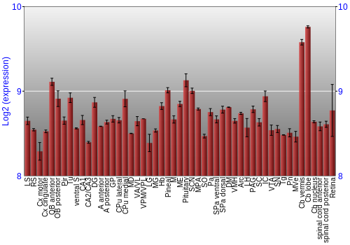 Expression graph