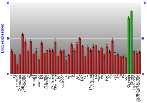Multi-state expression graph