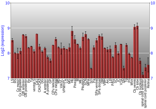 Expression graph