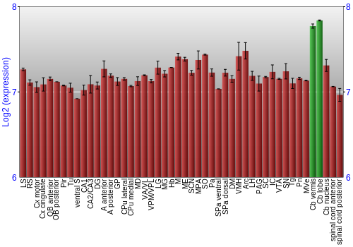 Multi-state expression graph
