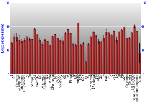 Expression graph