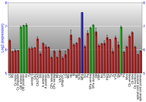 Multi-state expression graph