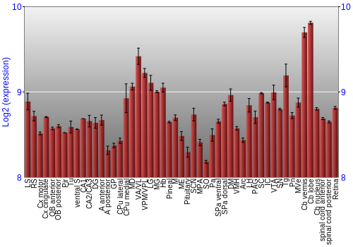 Expression graph
