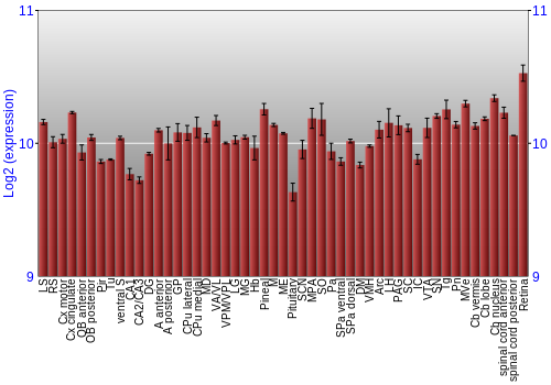 Expression graph