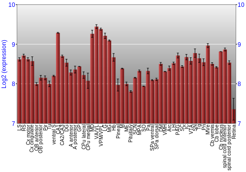 Expression graph