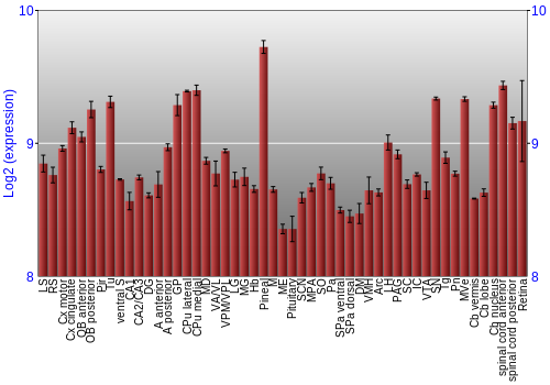 Expression graph
