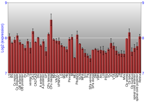 Expression graph