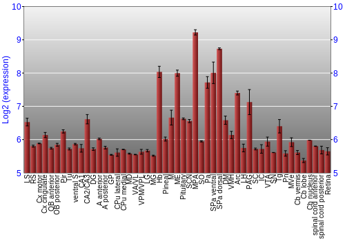 Expression graph