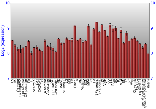 Expression graph
