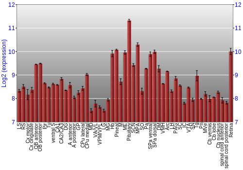 Expression graph