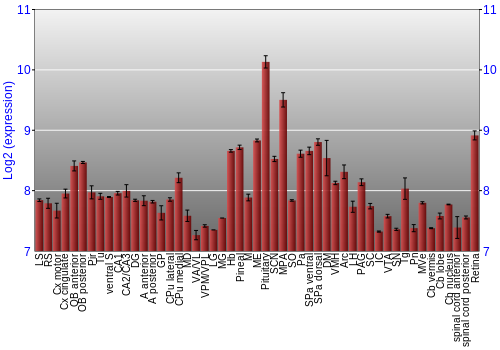 Expression graph