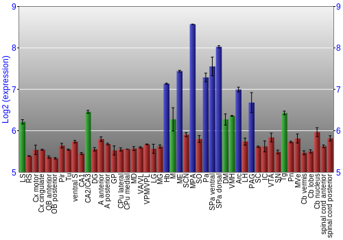 Multi-state expression graph