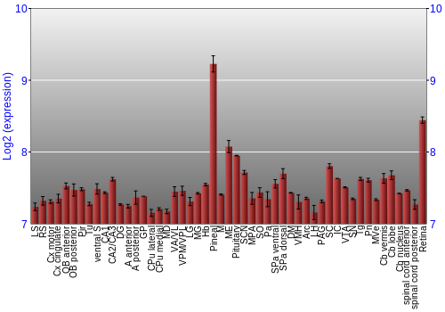 Expression graph