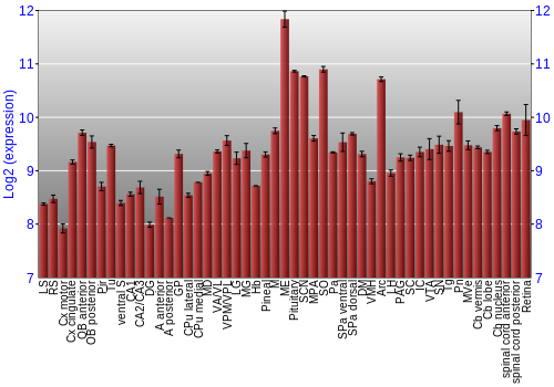 Expression graph