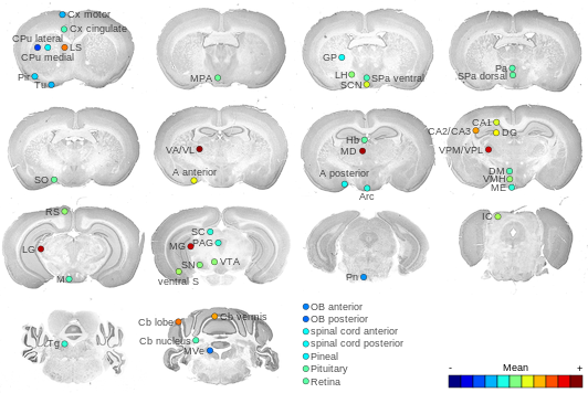 Expression map