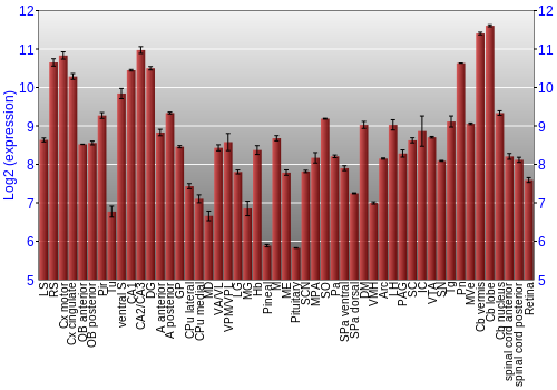 Expression graph