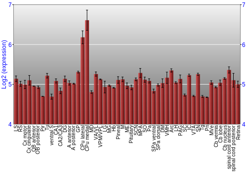 Expression graph