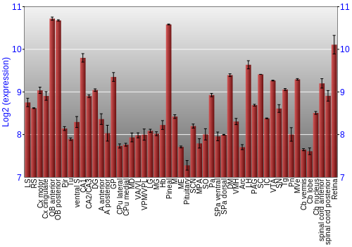Expression graph