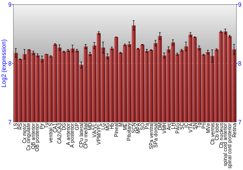 Expression graph