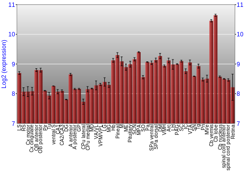 Expression graph