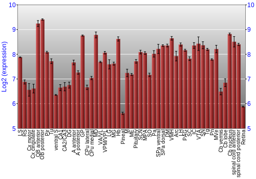 Expression graph