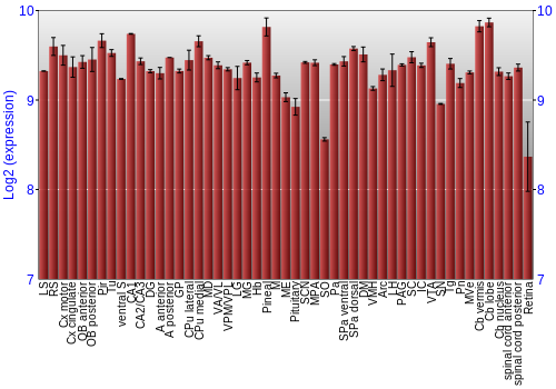 Expression graph