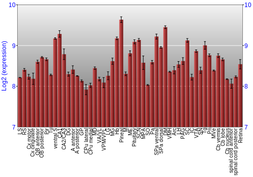 Expression graph