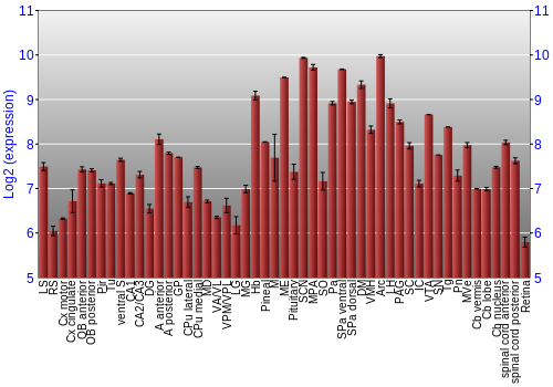 Expression graph