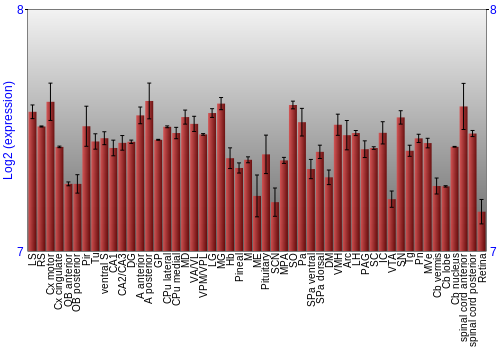 Expression graph
