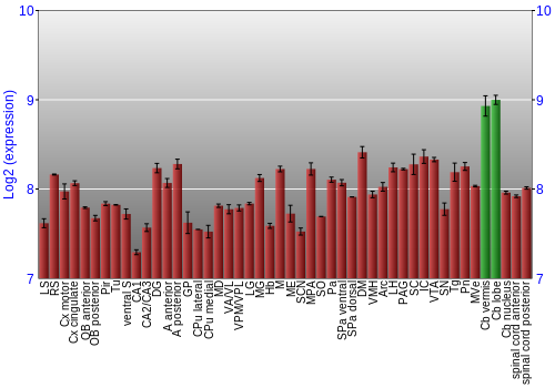 Multi-state expression graph