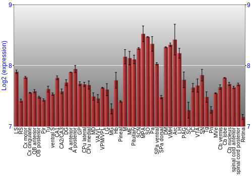 Expression graph