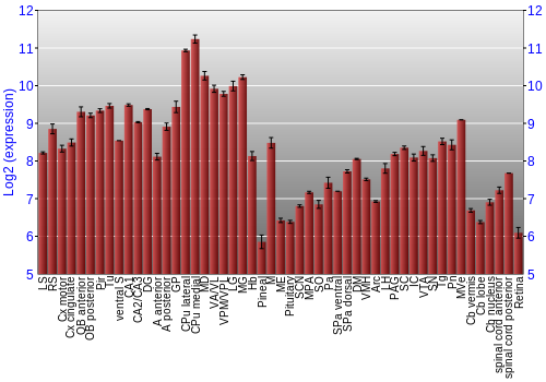Expression graph
