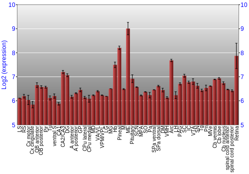 Expression graph