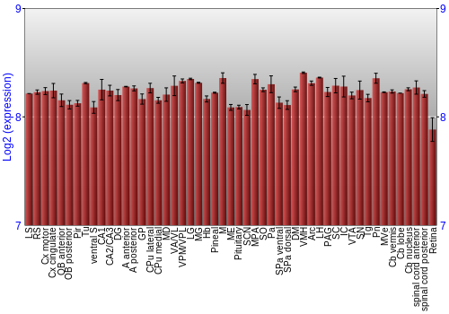 Expression graph