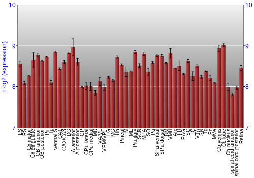 Expression graph