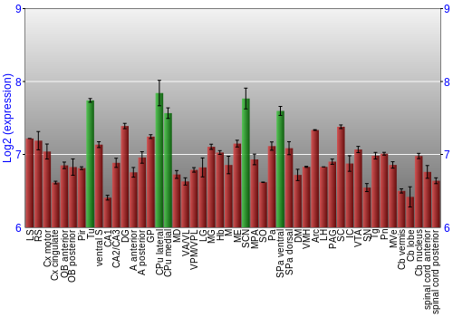 Multi-state expression graph