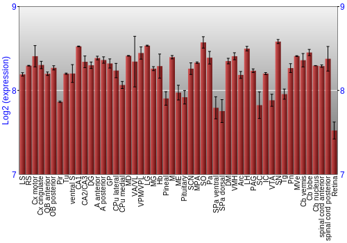 Expression graph