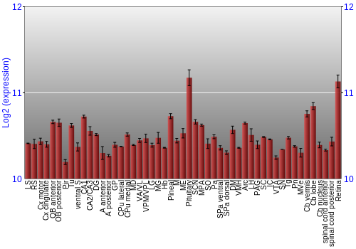 Expression graph