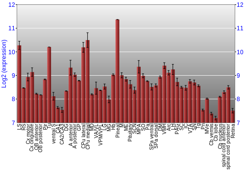 Expression graph
