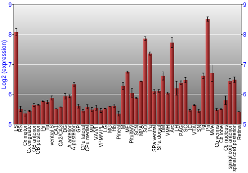 Expression graph