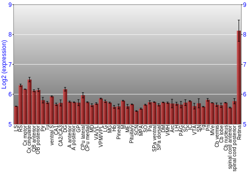 Expression graph