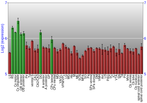 Multi-state expression graph