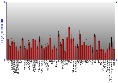 Expression graph