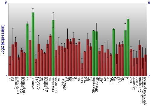 Multi-state expression graph