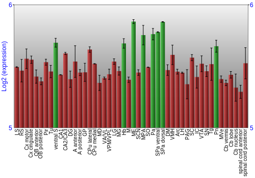 Multi-state expression graph