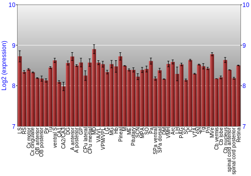 Expression graph
