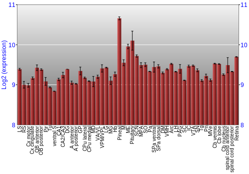 Expression graph