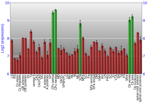 Multi-state expression graph