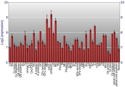 Expression graph
